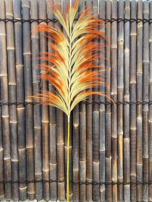 Pampas pluimen twin 220x60 cm Natural orange